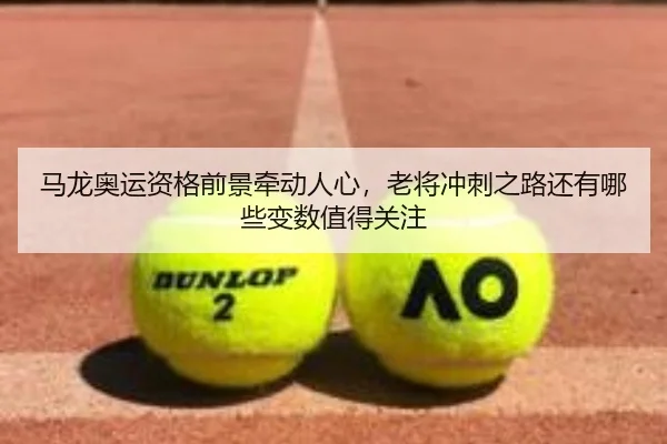 ma-long-ao-yun-zi-ge-qian-jing-qian-dong-ren-xin-lao-jiang-chong-ci-zhi-lu-hai-you-na-xie-bian-shu-zhi-de-guan-zhu-2-315.jpg