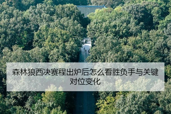 森林狼西决赛程出炉后怎么看胜负手与关键对位变化